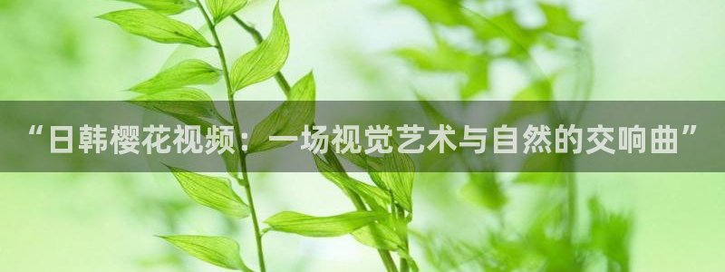 西瓜视频免费版下载