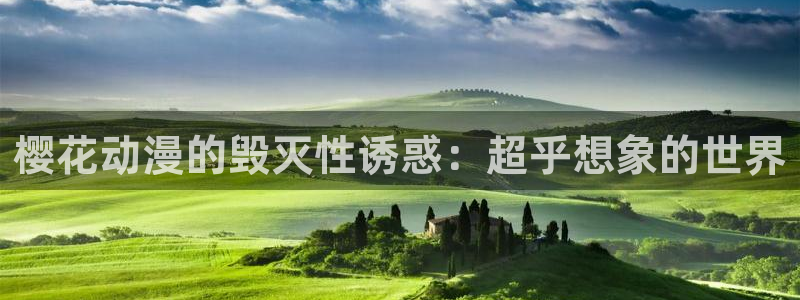 西瓜视频 在线播放