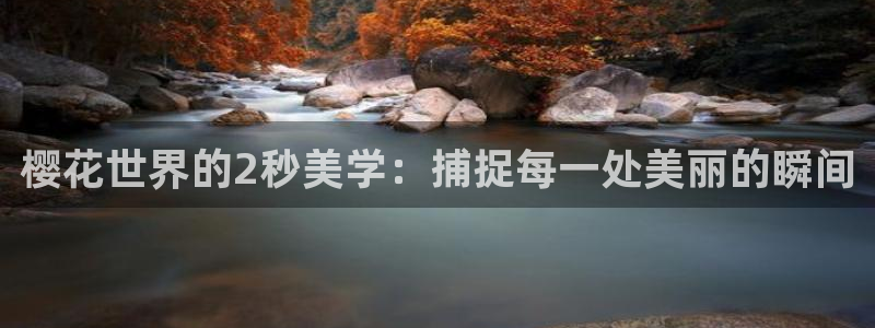 西瓜视频大全在线观看免费观看电视