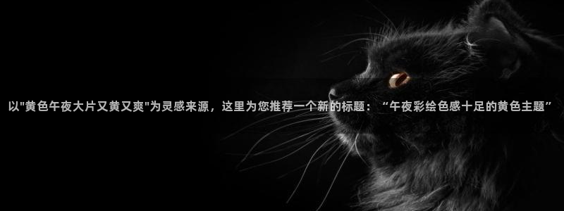 星空传媒观看