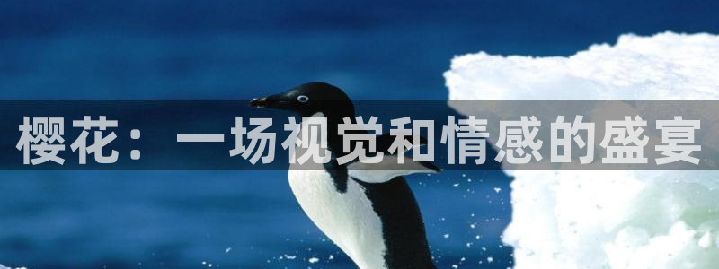 西瓜视频在线观看免费全集