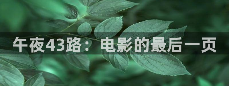 星空无痕mv免费观看高清