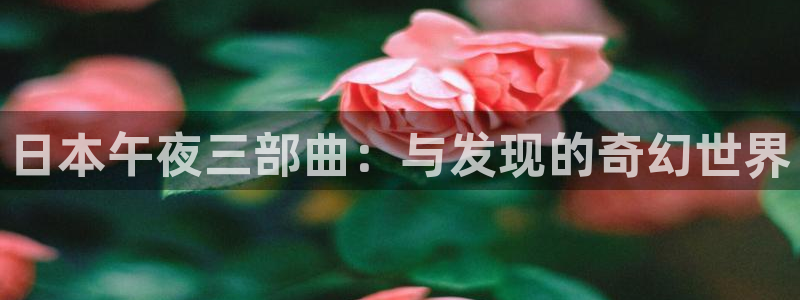 星空电影在线