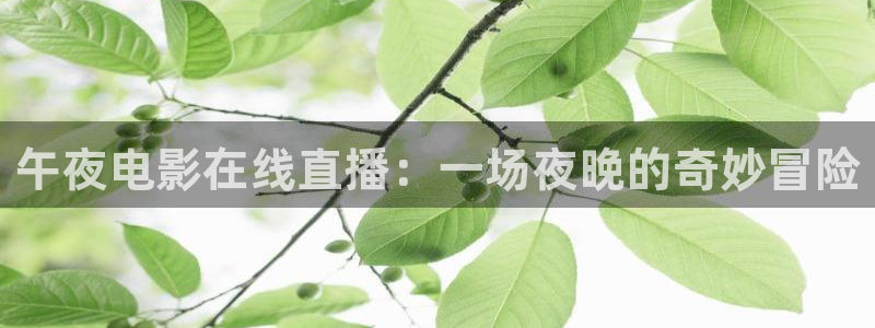 星空免费观看高清完整版