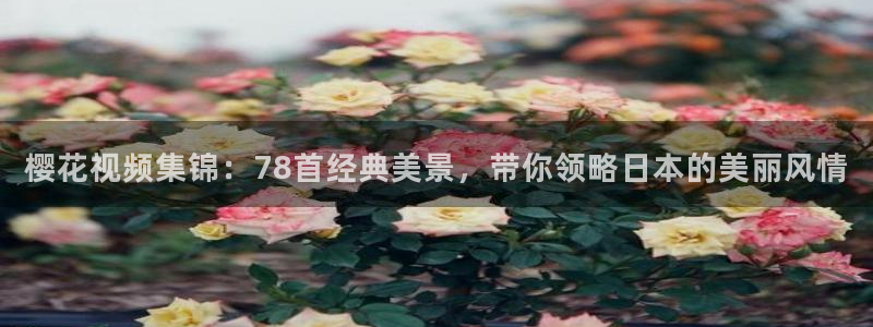 星空高清免费观看