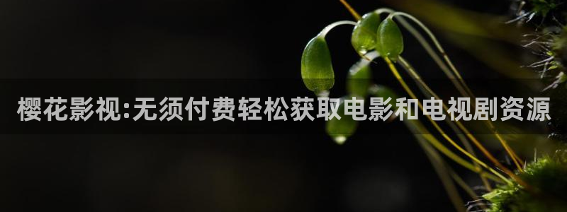 星空影视网