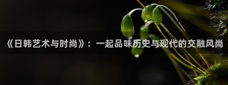 星空视频素材
