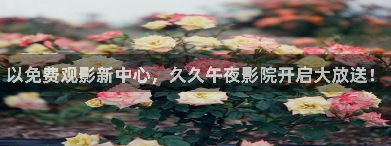 西瓜视频大全在线观看