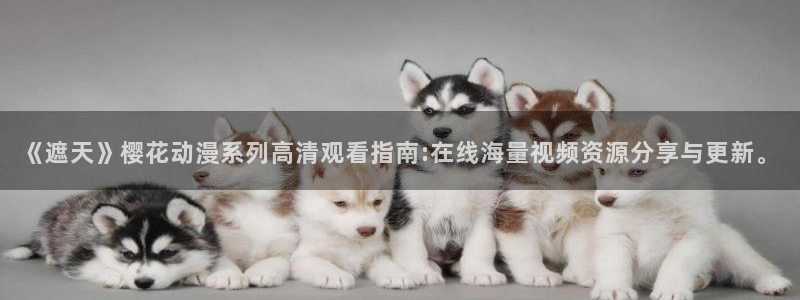麻豆星空影视