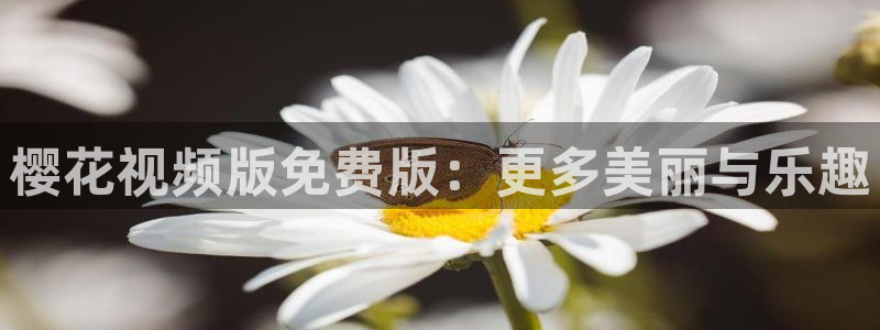 西瓜视频电视免费观看手机版