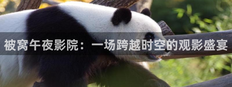 西瓜视频网