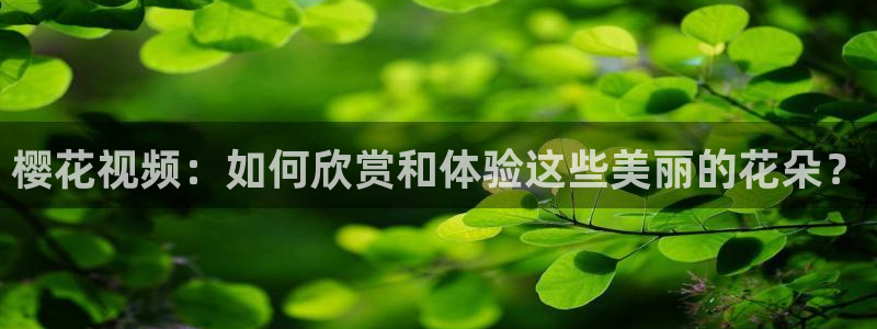 琅琊榜西瓜视频
