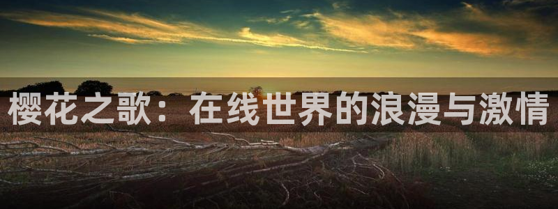 宿州西瓜视频影讯