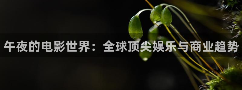 星空电影院免费观看