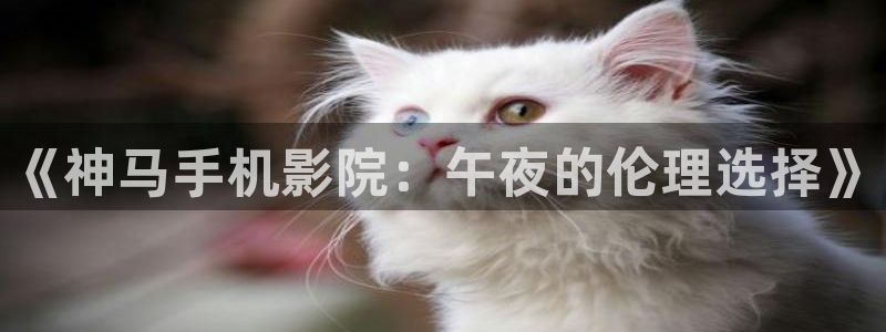 西瓜视频在线观看电视剧最新章节