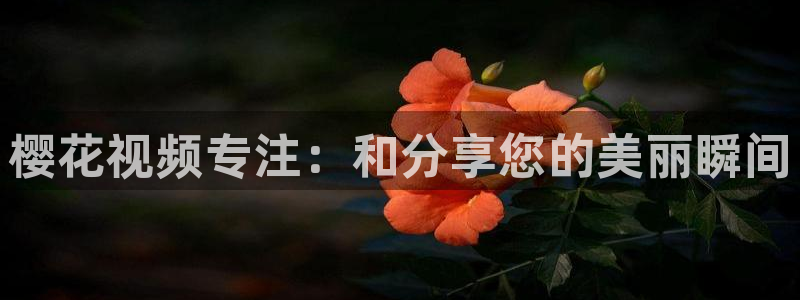 星空传媒高清视频