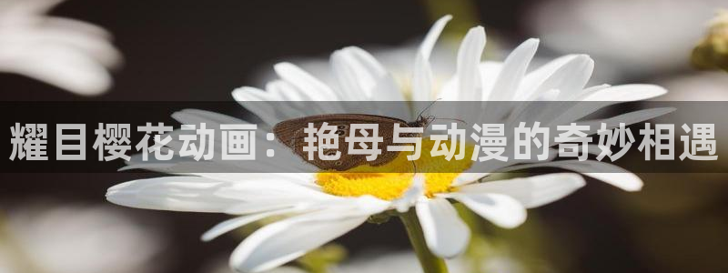星空电影在线观看高清