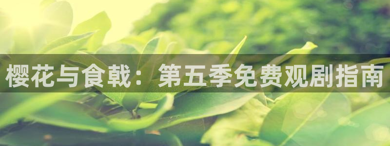 星空无限影视