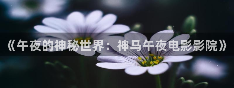 天美星空影视
