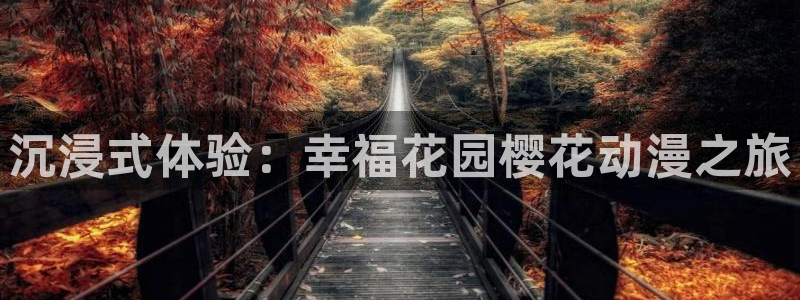 西瓜视频在线观看免费下载