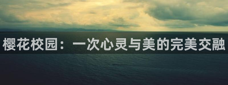 西瓜视频免费观看电视剧电影2024年