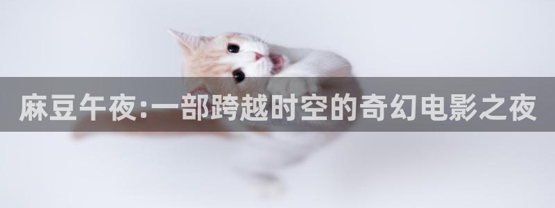 星空影视免费观看电视剧极速播放