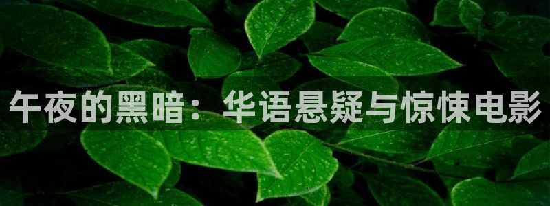 西瓜视频高