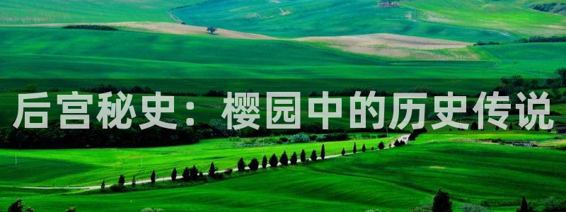 星空视频免费观看电影