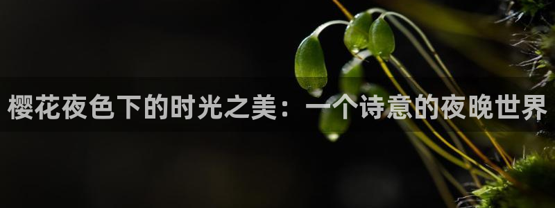 电影星空里的拼图