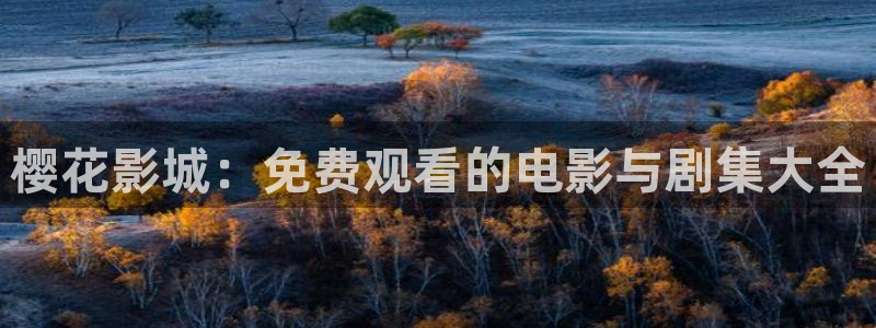 星空影视正版