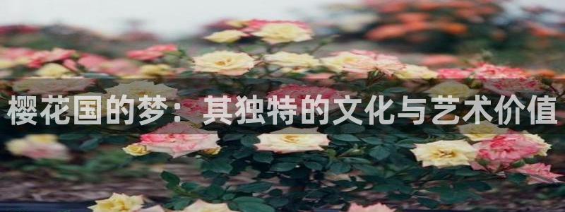 星空影视传媒在线免费观看