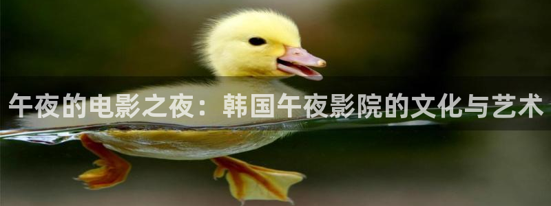 光影西瓜视频