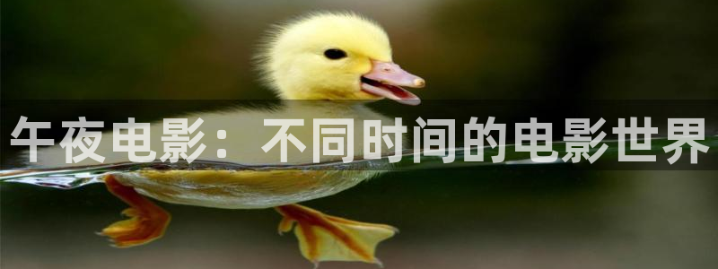 西瓜视频大全在线观看免费观看电视剧
