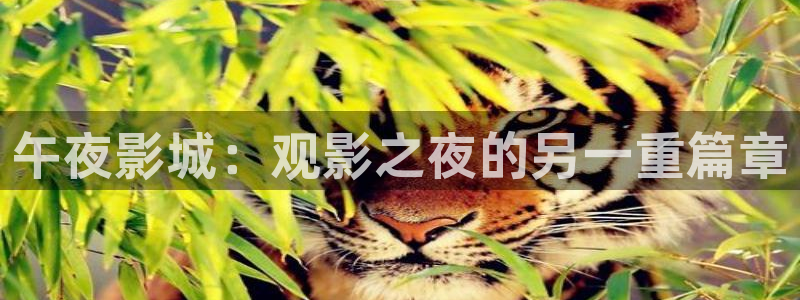 西瓜视频在线观看免费完整版