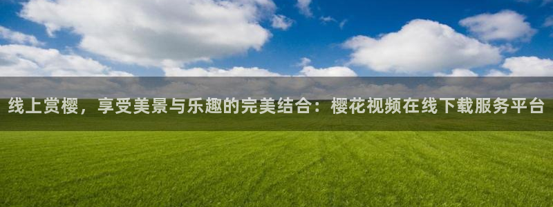 窝窝网电视剧电影星空网